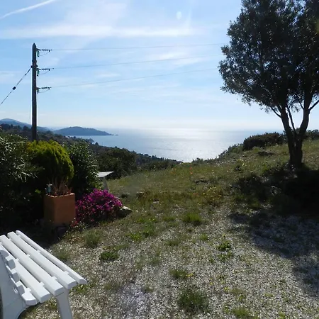 Apartment 2 Pieces 4 Pers Avec Parking Et Espace Exterieur Au Lavandou - Fr-1-251-792